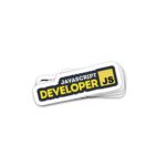 Js developer