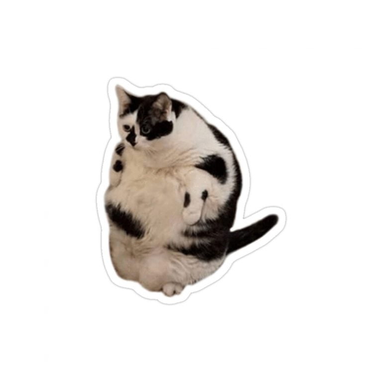 استیکر لپتاپ گربه بانمک