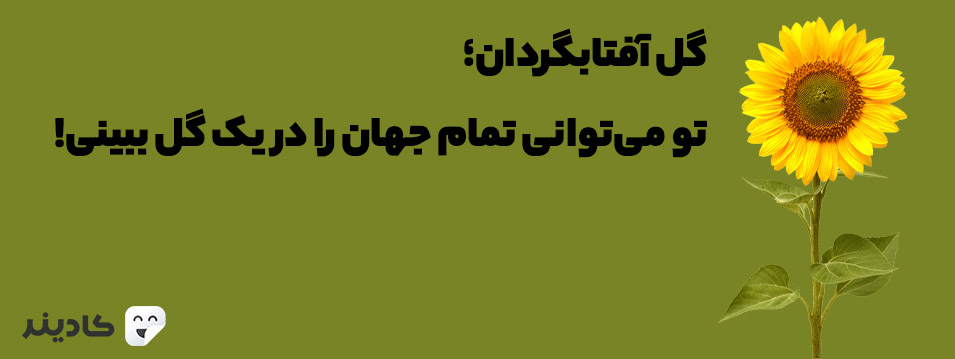 گل افتابگردان یکی از معروف‌ترین گل‌های شناخته شده است و تا سال‌های زیادی به عنوان یک منبع غذایی مهم در جهان مورد استفاده بوده است.