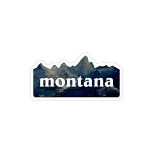استیکر لپ تاپ کشور ایالات متحده آمریکا - مونتانا