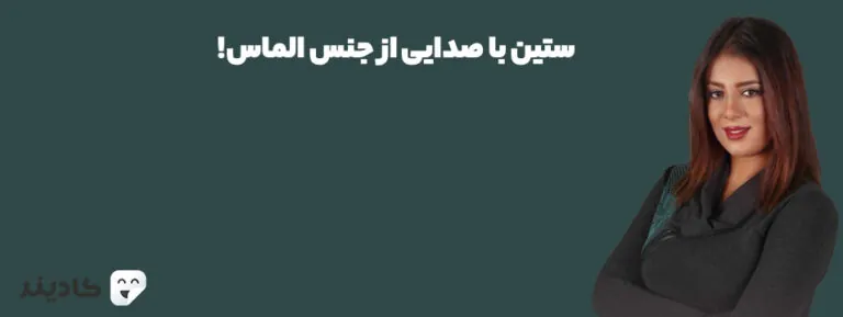 فرناز ملکی با نام هنری ستین یکی از خوانندگان معروف ایرانی است. شروع فعالیت این خواننده از سال ۸۸ و همکاری با ساسی مانکن بود.
