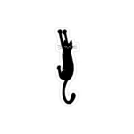 استیکر لپ تاپ استیکر لپ تاپ کول طوری - گربه چنگ‌انداز، عکس از سید بابک موسوی