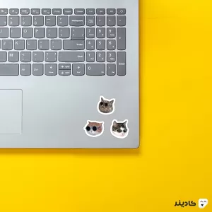 استیکر لپ تاپ استیکر لپ تاپ کول طوری - گربه شیک پوش! روی لپتاپ