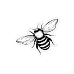 استیکر لپ تاپ سیاه و سفید - زنبور