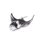 استیکر لپ تاپ سیاه و سفید - سفره ماهی