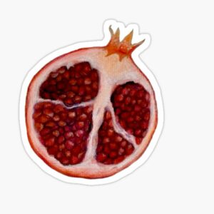 استیکر لپتاپ انار