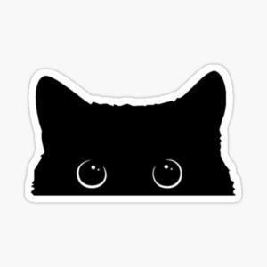 استیکر لپتاپ گربه سیاه